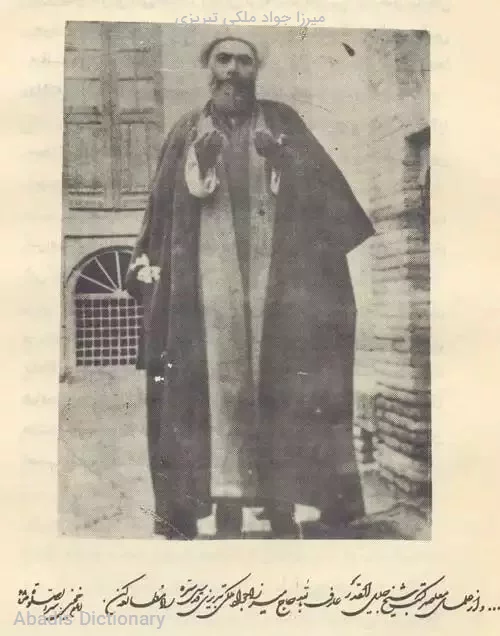 میرزا جواد ملکی تبریزی